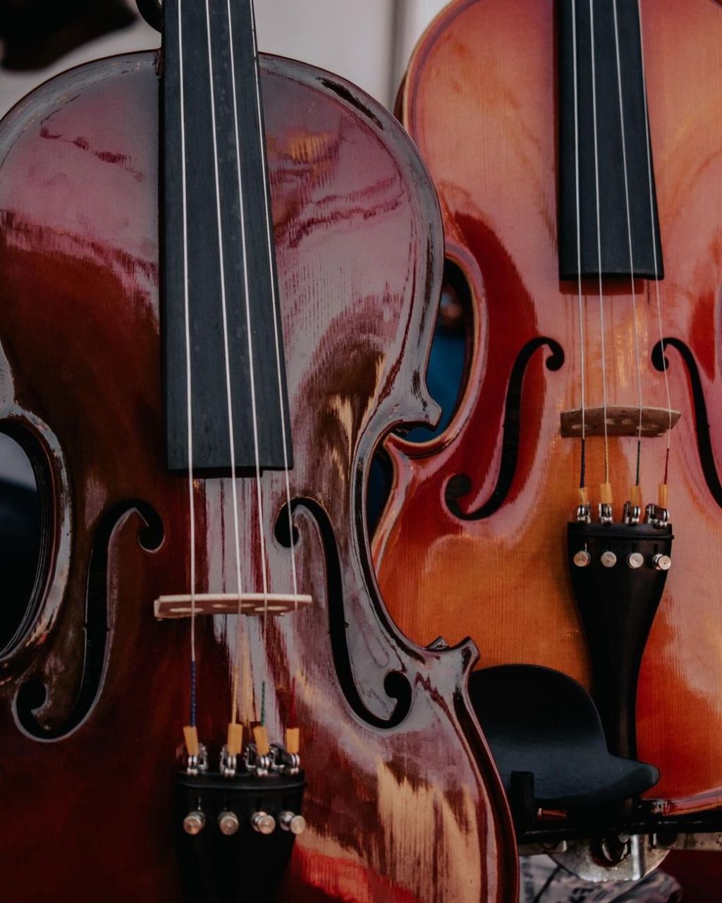Panduan Direktori: Tempat Beli & Servis Biola Terpercaya (Dari Pemula Hingga&nbsp;Profesional)